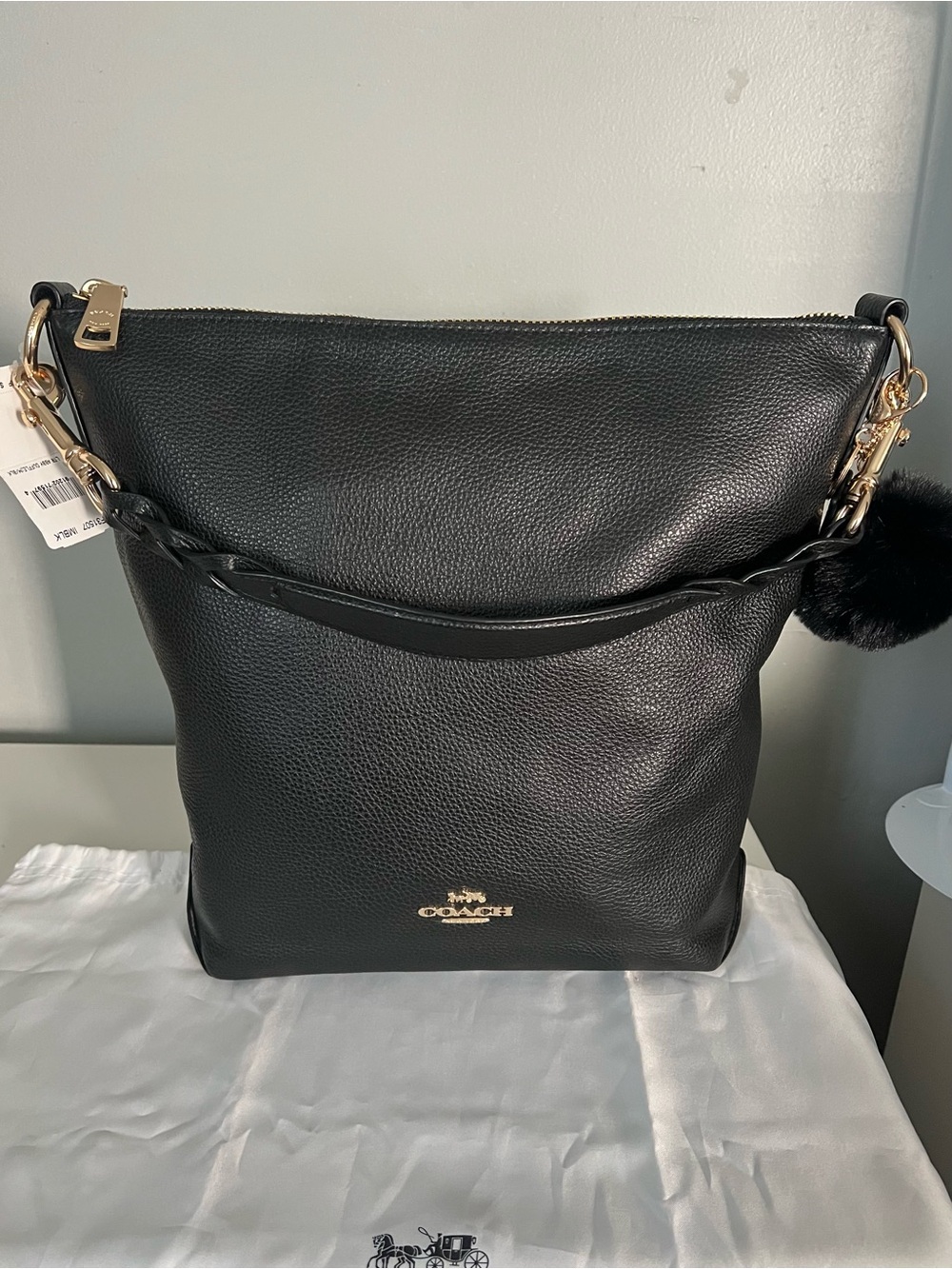 Coach Hobo Bag